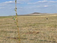 Уур амьсгалын өөрчлөлтийн эрсдэлийн индекстэй болно