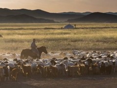 Өвөл, хаварт бэлэн үү... 