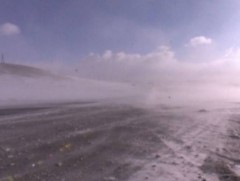 Бага насны хүүхдийг малд явуулахгүй байхыг онцгойлон анхааруулж байна 