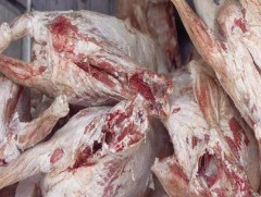 Мал эмнэлэг, хорио цээрийн хяналтын цэгээр 150.88 тн худалдаалах мах нэвтрүүлжээ  