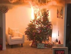 Сүлд модны галын аюулгүй байдлыг хангах зөвлөмж