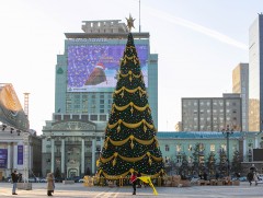 Төв талбайн сүлд модны гэрлийг энэ сарын 10-нд асаана