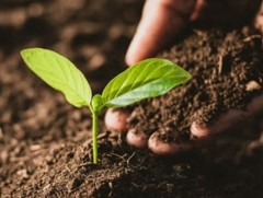 Өнөөдөр дэлхийн хөрсний өдөр