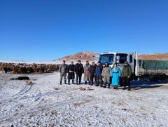 Шуурхай бүлэг 21 аймгийн 330 суманд ажиллаж байна