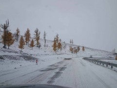 Сайдын шуурхай хуралдаанаас гаргасан чиг үүргийг хэрэгжүүлж ажиллав