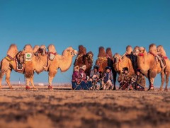 “Их говийн тэмээ-2025” тэмээчдийн баяр, улсын зөвлөгөөн болно