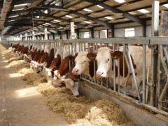 Улсын аварга фермер тодорчээ 