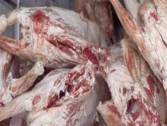 Хяналтын цэгээр 112 тонн худалдаалах мах нэвтрүүлжээ 