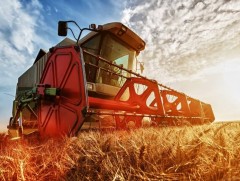 Улсын аварга тариаланч хамт олон