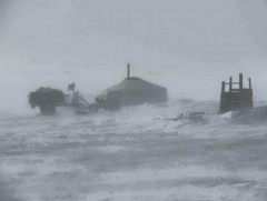 Бага насны хүүхдийг малд явуулахгүй байхыг анхааруулж байна 