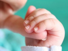 Гурав хүртэлх насны хүүхдээ асарч байгаа эхийн сайн дурын даатгалын шимтгэл төлөлт ямар байх вэ 