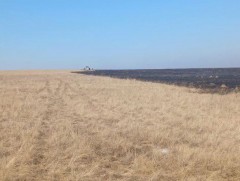 Хээрийн түймэрт урьдчилсан байдлаар 24 га талбай өртсөн байна