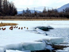 Ойрын 10 хоногт цаг агаар ямар байх вэ