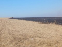 Хээрийн түймрийг унтраахаар ажиллаж байна