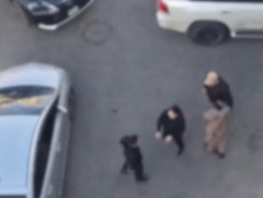 ЦЕГ: Бусадтай маргалдахдаа тоглоомон буу ашиглаж танхайрчээ