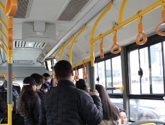 Иргэдээс автобусны үйлчилгээтэй холбоотой 10 гомдол, нэг талархал иржээ