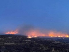 Дорнод аймгийн Халхгол сумын 