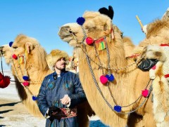    “Монгол тэмээний өдөрлөг” Лондонд болно