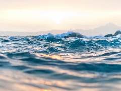 “Цэнхэр алт” усны үндэсний II чуулган болно