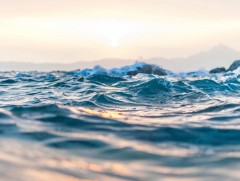 “Цэнхэр алт” усны үндэсний II чуулган болно