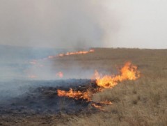 Ой, хээрийн түймрийг унтраахаар ажиллаж байна