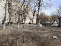 Хаврын их цэвэрлэгээнд НОСК-ийн албан хаагчид нэгдлээ