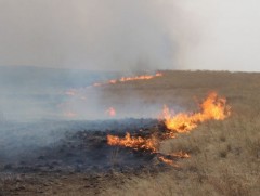 Иргэдийг онцгой сэрэмжтэй байхыг анхаарууллаа