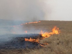 Нийт нутаг дэвсгэрийн 55.6 хувь нь ой, хээрийн түймэрт өртөж байна