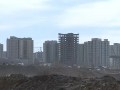 Цэцэрлэг, сургуулийн ойр орчимд газар олгох нь хүүхдийн эрх зөрчиж байна