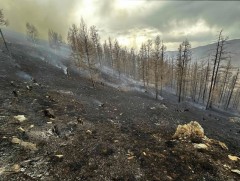 Ой, хээрийн түймрийг бүрэн унтраахаар ажиллаж байна