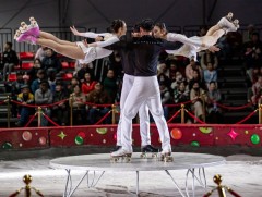 Улаанбаатар хотын циркийн өдрүүд хоёр дахь өдрөө төв талбайд үргэлжилж байна