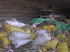 Ноолуурыг угааж самнах үйлдвэрүүд байгаа ч эргэлтийн хөрөнгө дутагдалтай байна 