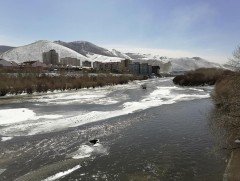 Туул голын 90 орчим хувь нь бохирдолтой гэж гарчээ