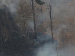 Сэлэнгэ аймгийн Ерөө суманд гарсан ойн түймрийг  цурманд оруулжээ