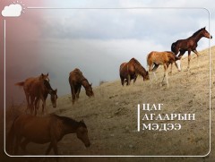 ЦАГ АГААР: Улаанбаатарт өдөртөө 15 хэм дулаан