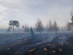 Чингэлтэй дүүрэгт гарсан гал түймрийг цурамд орууллаа
