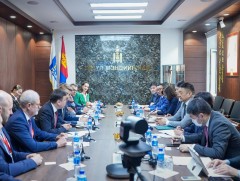 Монгол, Австрийн эрүүл мэндийн салбарын хамтын ажиллагааг гүнзгийрүүлэх чиглэлээр санал солилцлоо
