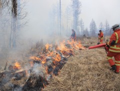 Сэлэнгэ аймгийн Ерөө сум дахь түймрийн голомтод салхитай байна