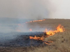 Сүхбаатар аймгийн Эрдэнэцагаан сумын нутагт гарсан хээрийн түймрийг унтраахаар ажиллаж байна