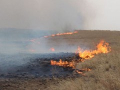 Сэлэнгэ, Хэнтий аймагт гарсан түймрийг унтраахаар ажиллаж байна