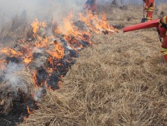 Түймрийг унтраахаар ажиллаж байна