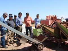 Зарим нэрийн нарийн ногоог үрсэлгээний аргаар тарьж эрт ургац авах зорилго тавьжээ