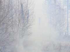 Ой, хээрийн түймэр унтраахаар ажиллаж буй шуурхай бүлгүүдэд дэмжлэг үзүүлэв