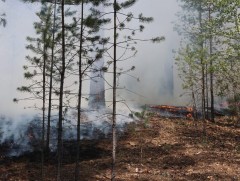 Улсын хэмжээнд 5 аймгийн 9 суманд гарсан 14 ой, хээрийн гал түймрийг унтраахаар ажиллаж байна
