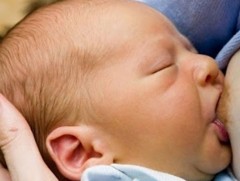 Эхийн ангир уураг нярайн шарлалтыг бууруулдаг 