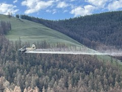 2025 оны ойн хөнөөлт шавжтай тэмцэх ажил үргэлжилж байна