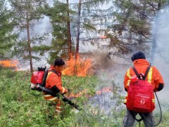 Түймрийн голомтод 429 хүн, 30 автомашинтайгаар ажиллаж байна