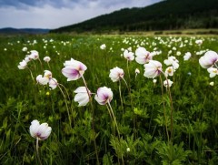 Долоодугаар сарын цаг агаарын урьдчилсан төлөв