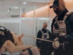 Худалдаалах зорилгоор хадгалсан, тээвэрлэсэн, илгээсэн бол 2-8 жилийн хорих ялаар шийтгэнэ 
