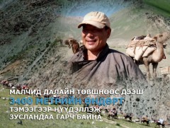 Малчид далайн төвшнөөс дээш 3400 метрийн өндөрт тэмээгээр нүүдэллэж зусландаа гарч байна